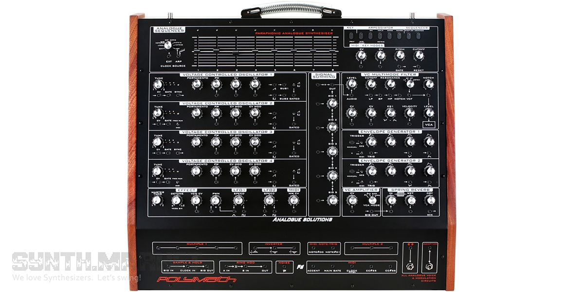 Analogue Solutions Polymath